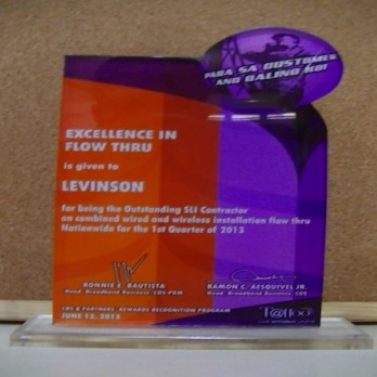 Excellence in Flow Thru Levinson Ist Quarter 2013